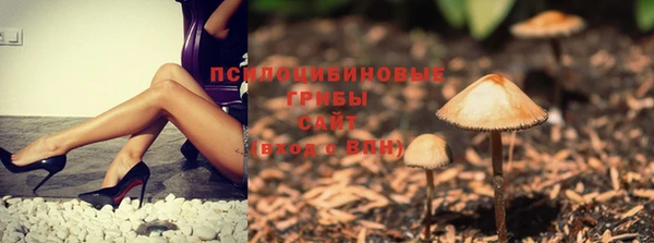 гидропоника Бронницы