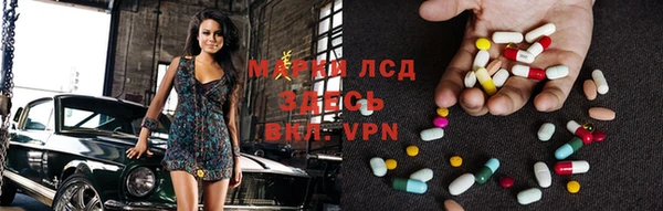эйфоретик Бородино